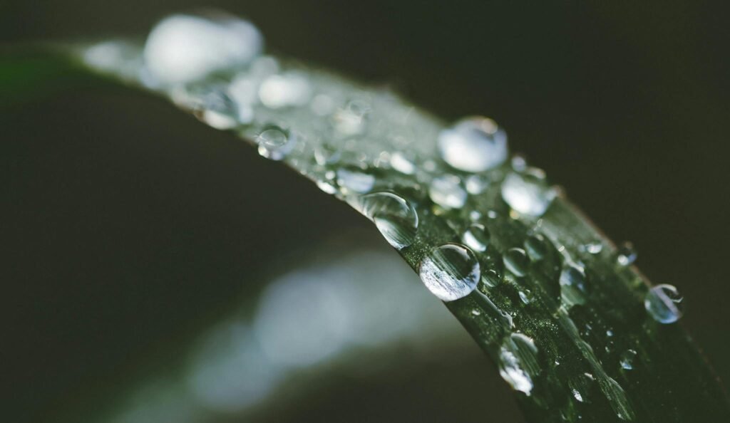 Connect with Nature